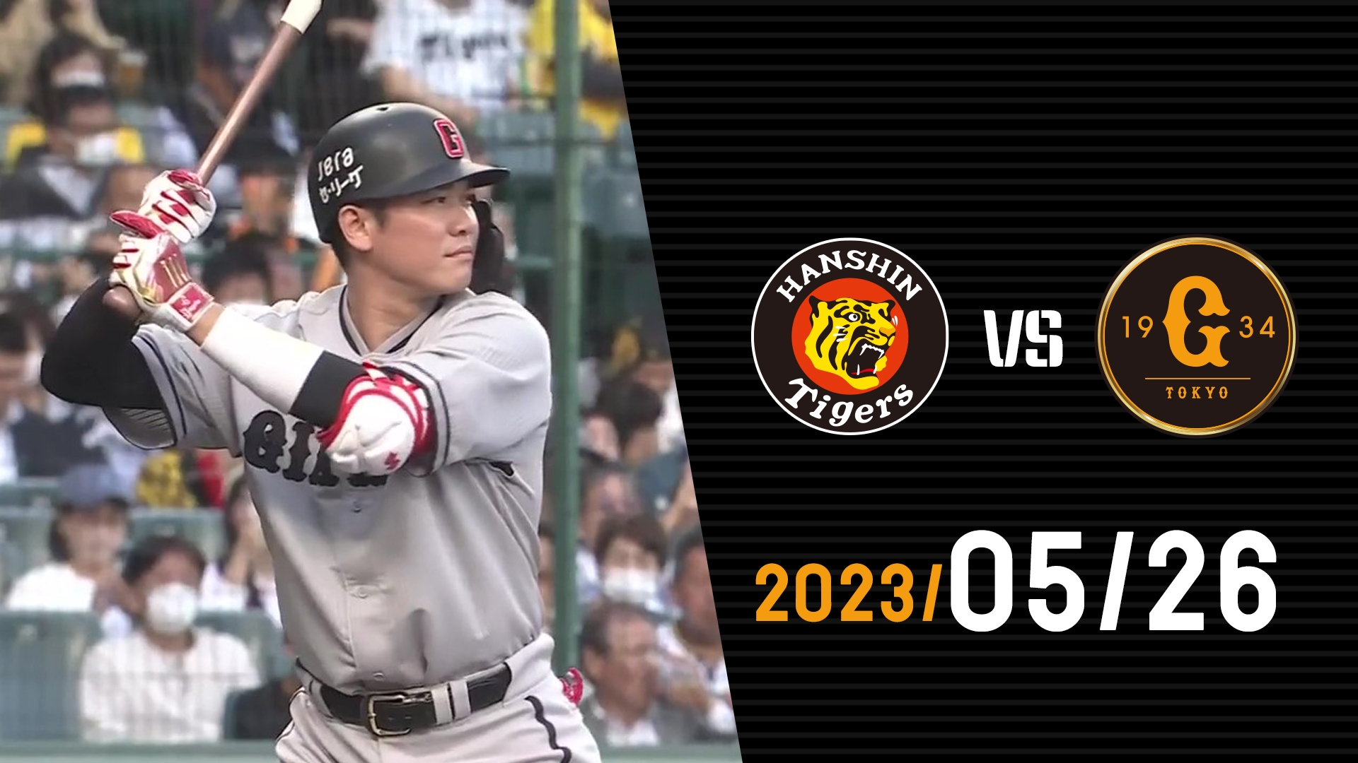 5月26日 日曜日 阪神VS巨人 アイビーシート 甲子園 野球