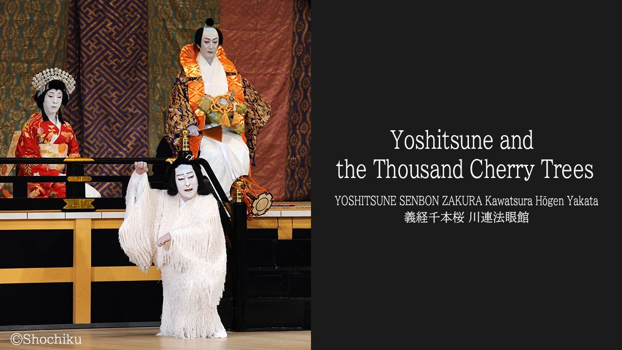 ゆりえ様 歌舞伎 Yoshitsune and the Thousand Cherry Trees（義経千本桜 川連法眼館