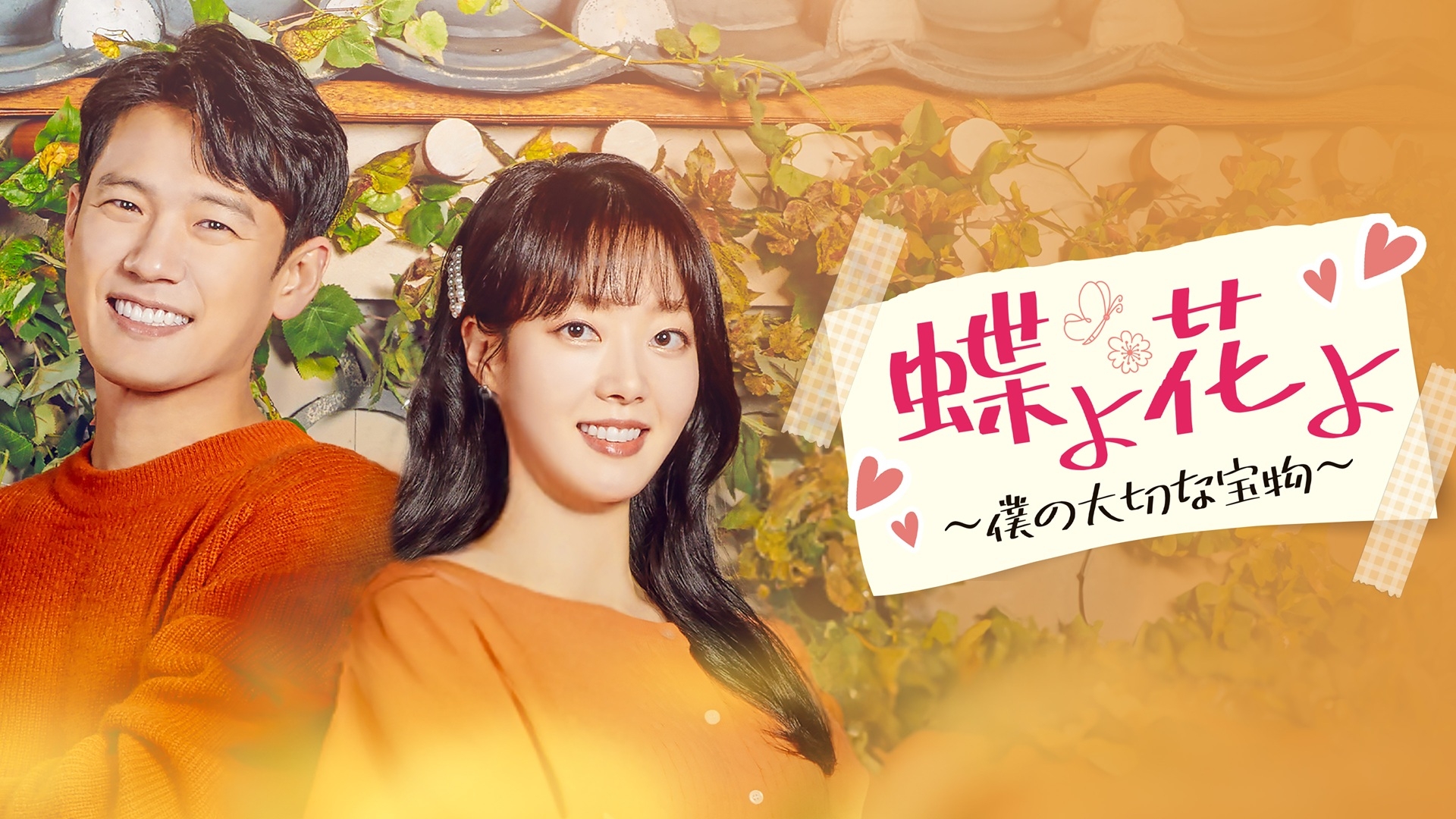 無料テレビで韓国ドラマ　蝶よ花よ～僕の大切な宝物～《BS日テレ》を視聴する