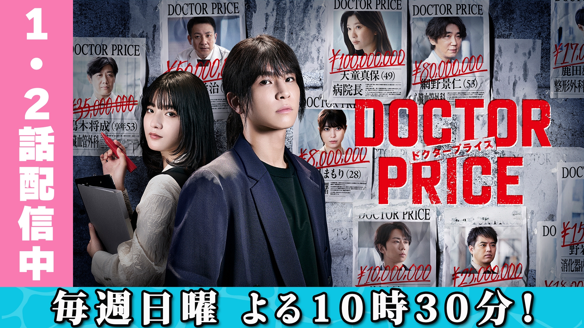 無料テレビでDOCTOR PRICEを視聴する