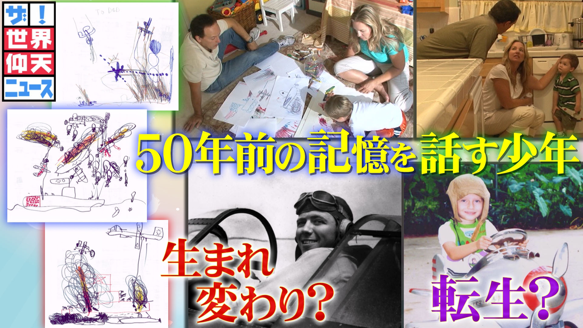 生まれ変わり 記憶 調査