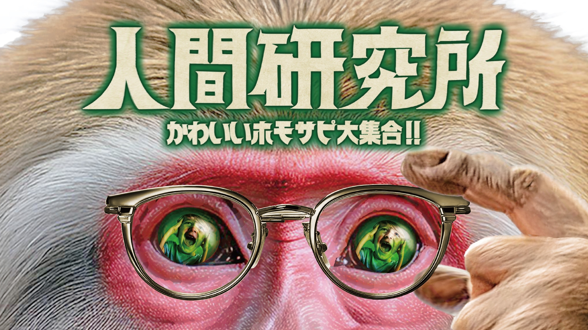 無料テレビで人間研究所 ～かわいいホモサピ大集合!!～《中京テレビ》を視聴する