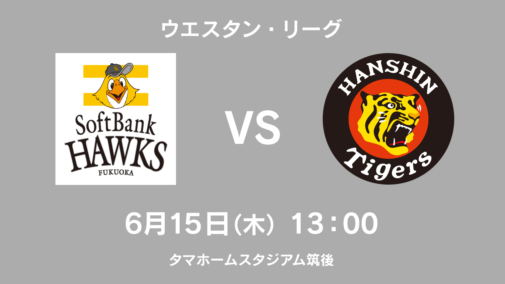 6月16日（日）ソフトバンクVS阪神 野球観戦チケット PayPayドーム 野球