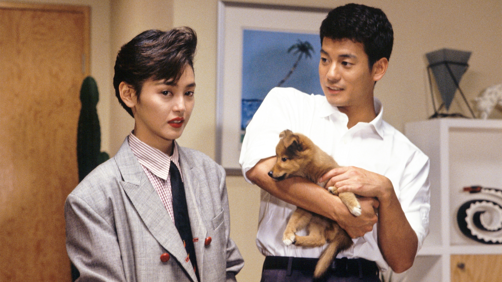 無料テレビでホームワークを視聴する