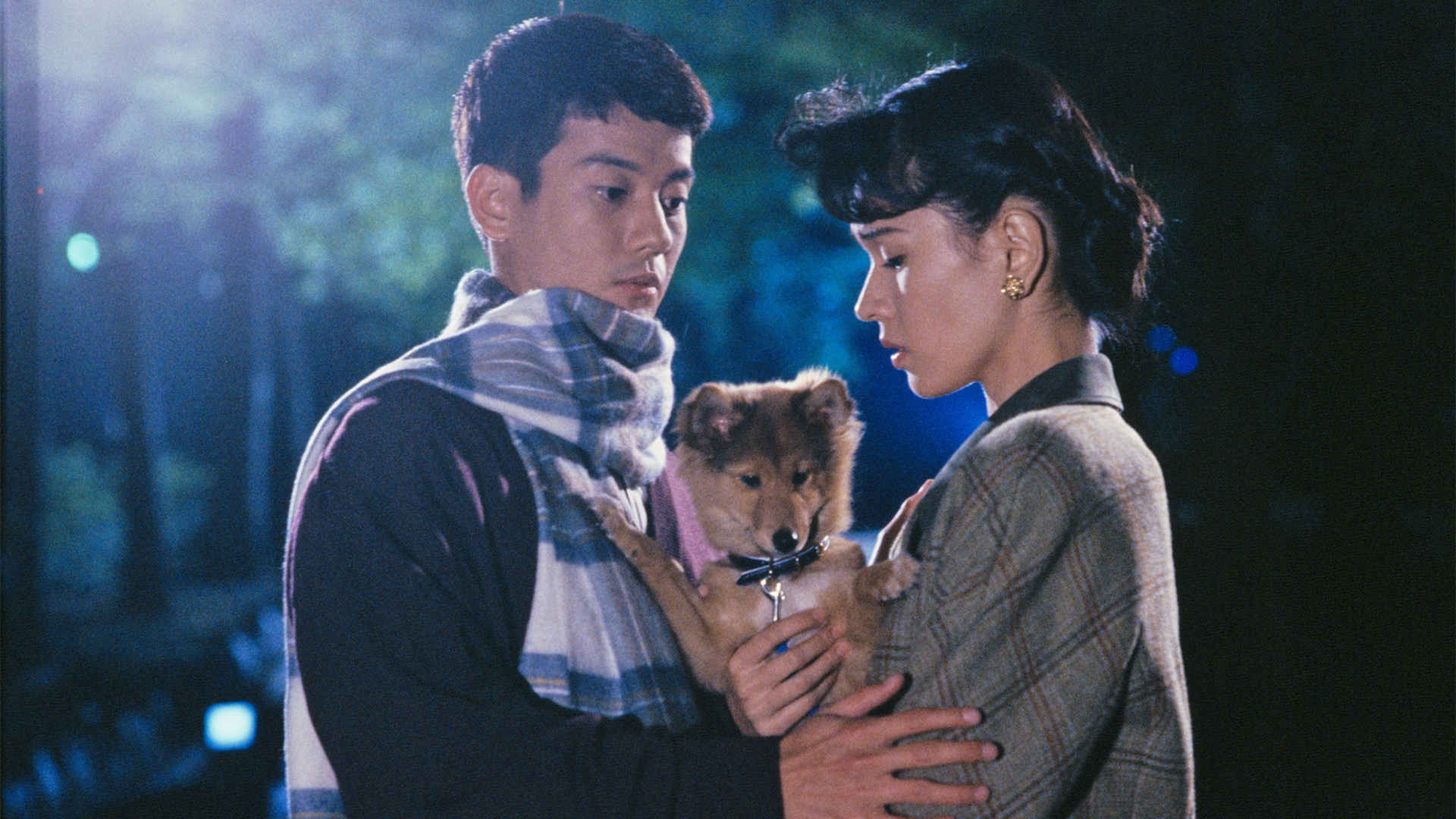 無料テレビでホームワークを視聴する