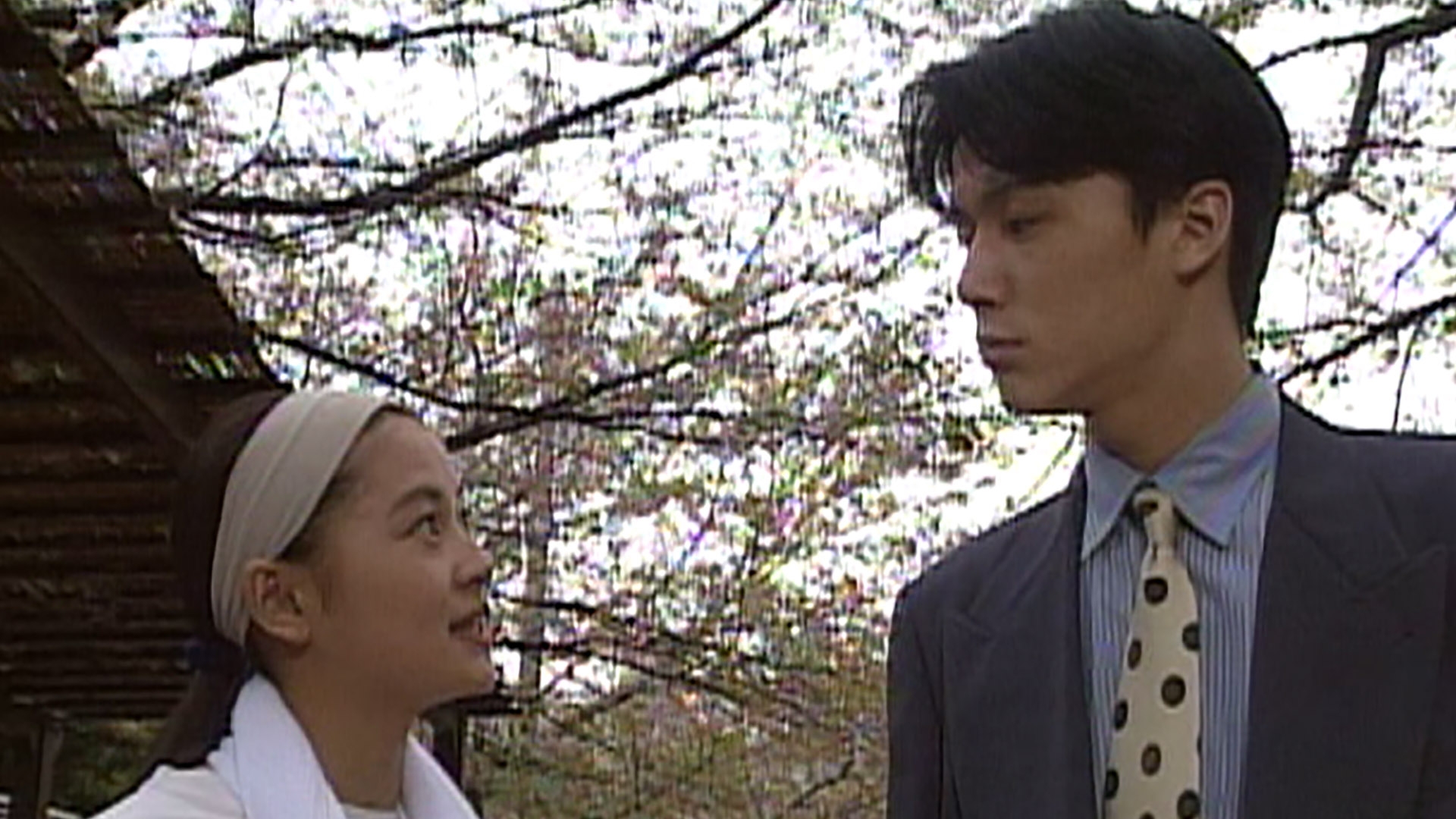 無料テレビで愛はどうだを視聴する