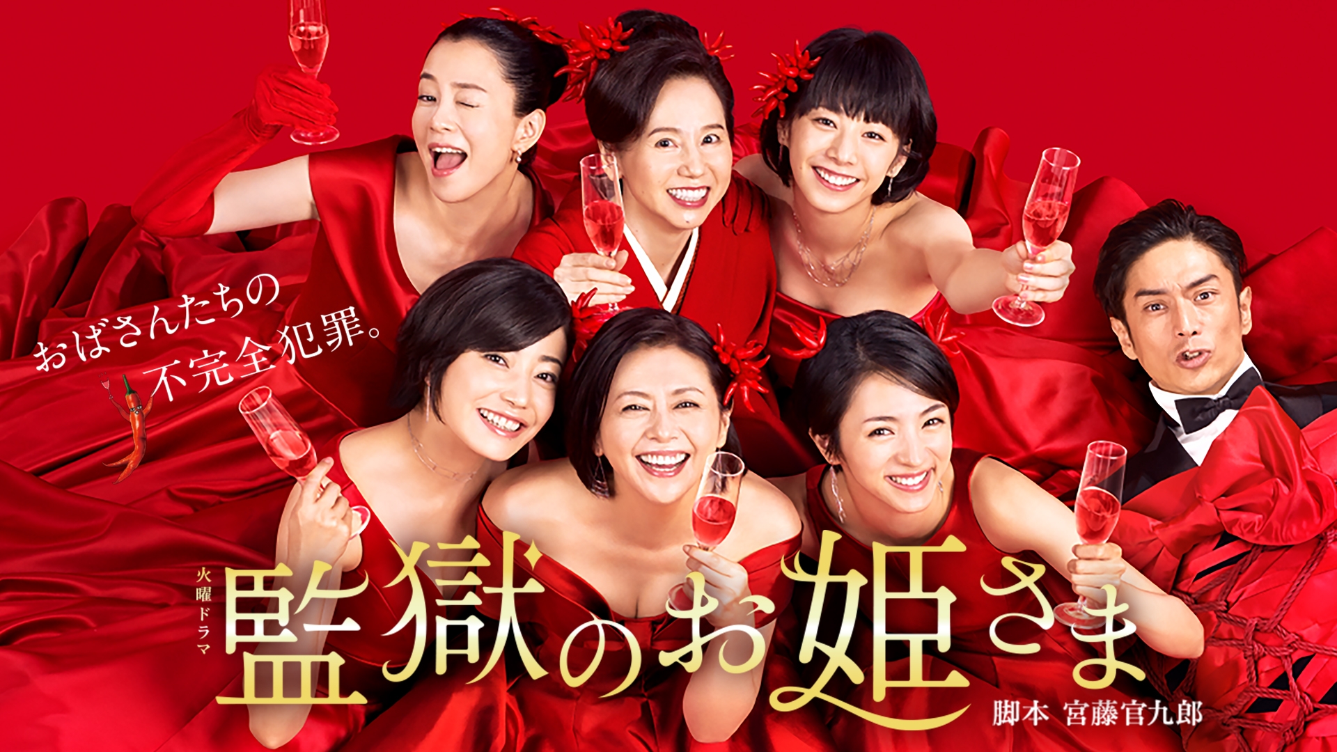 無料テレビで監獄のお姫さまを視聴する