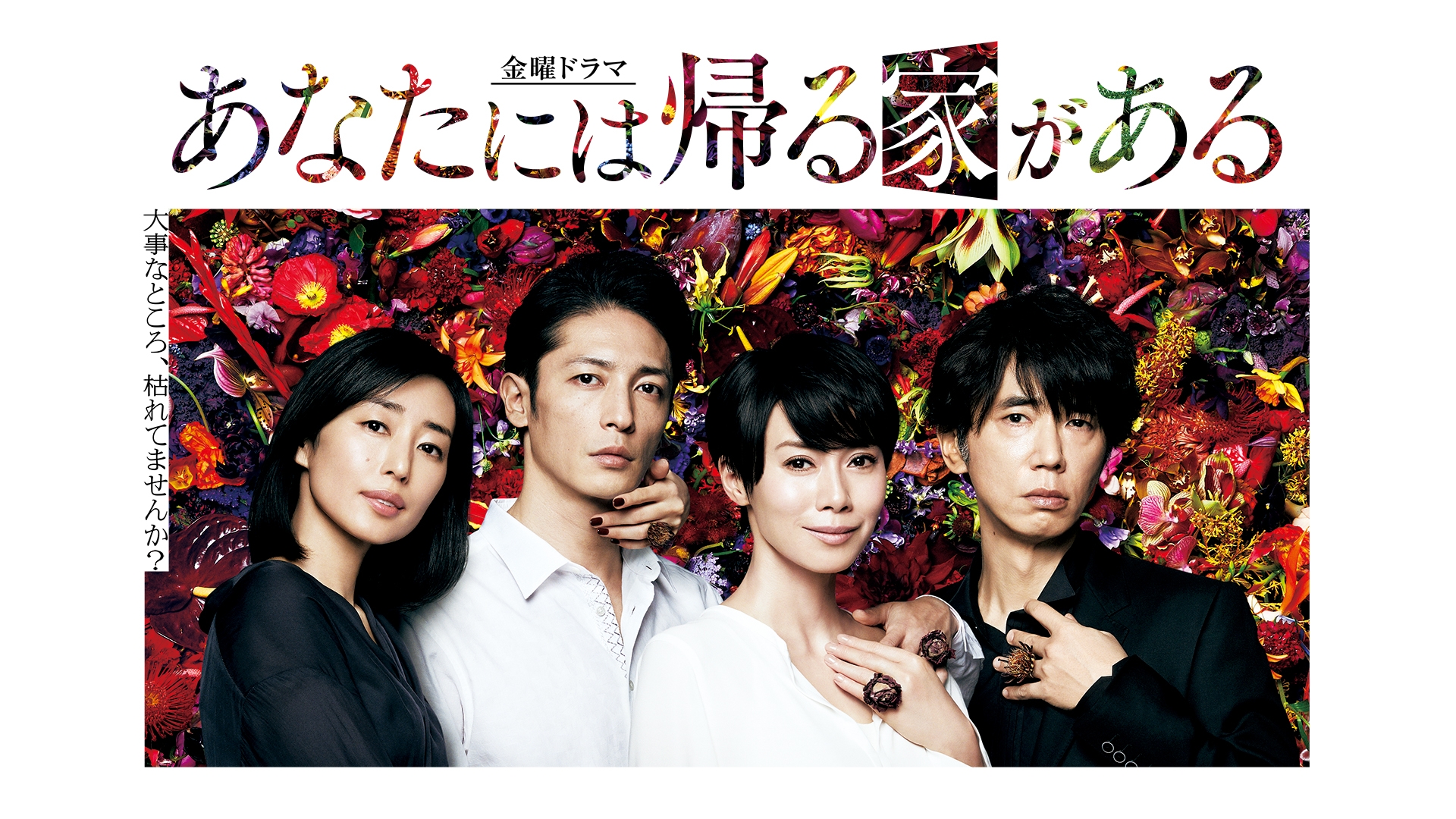 中谷美紀　玉木宏　あなたには帰る家がある DVD　6巻 全巻セット Amazon.co.jp: あなたには帰る家がある -ディレクターズカット版