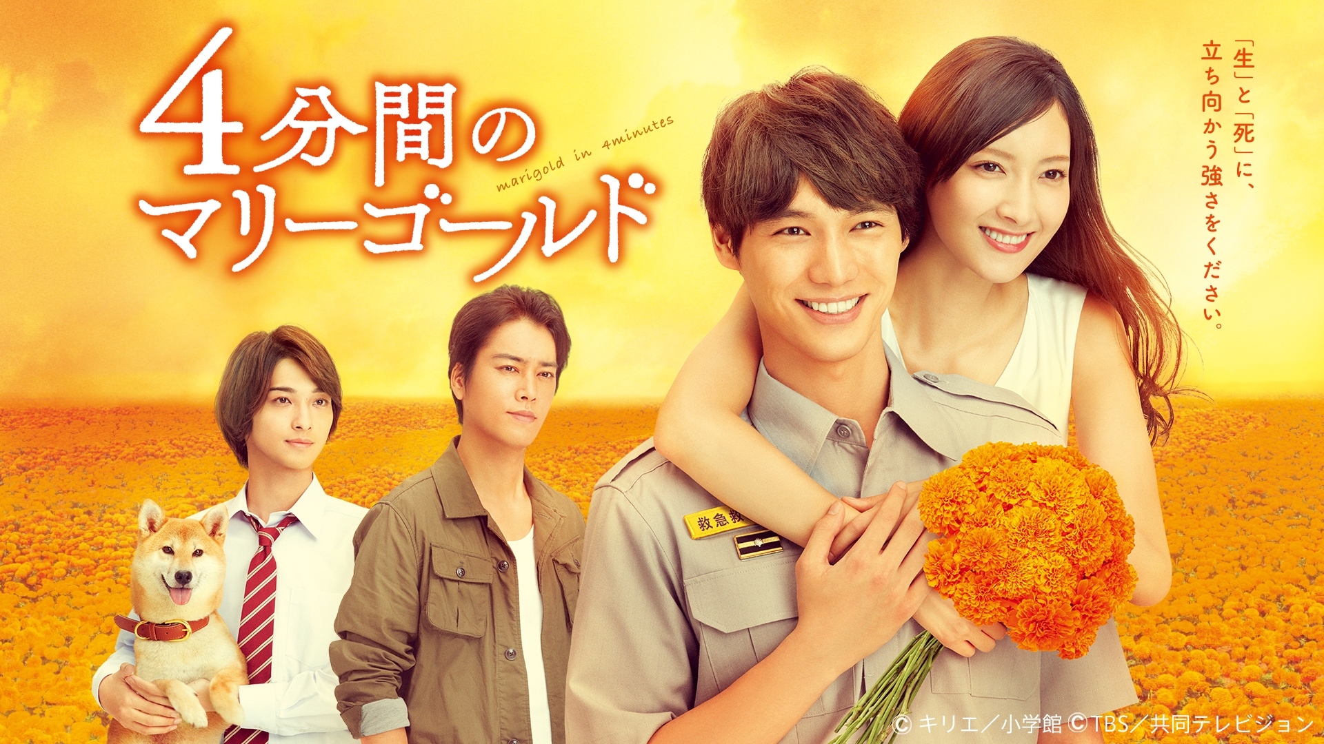 無料テレビで4分間のマリーゴールドを視聴する