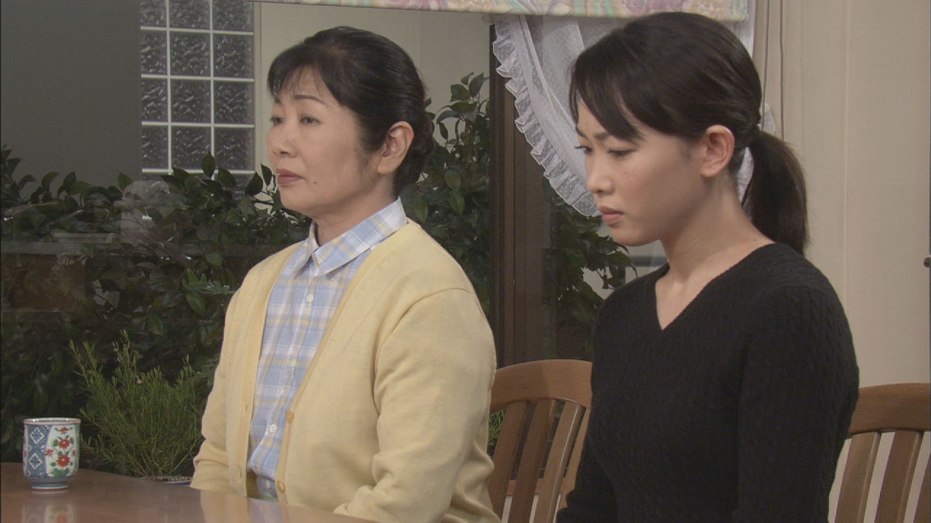 無料テレビで渡る世間は鬼ばかり 第6シリーズ(橋田壽賀子ドラマ)を視聴する