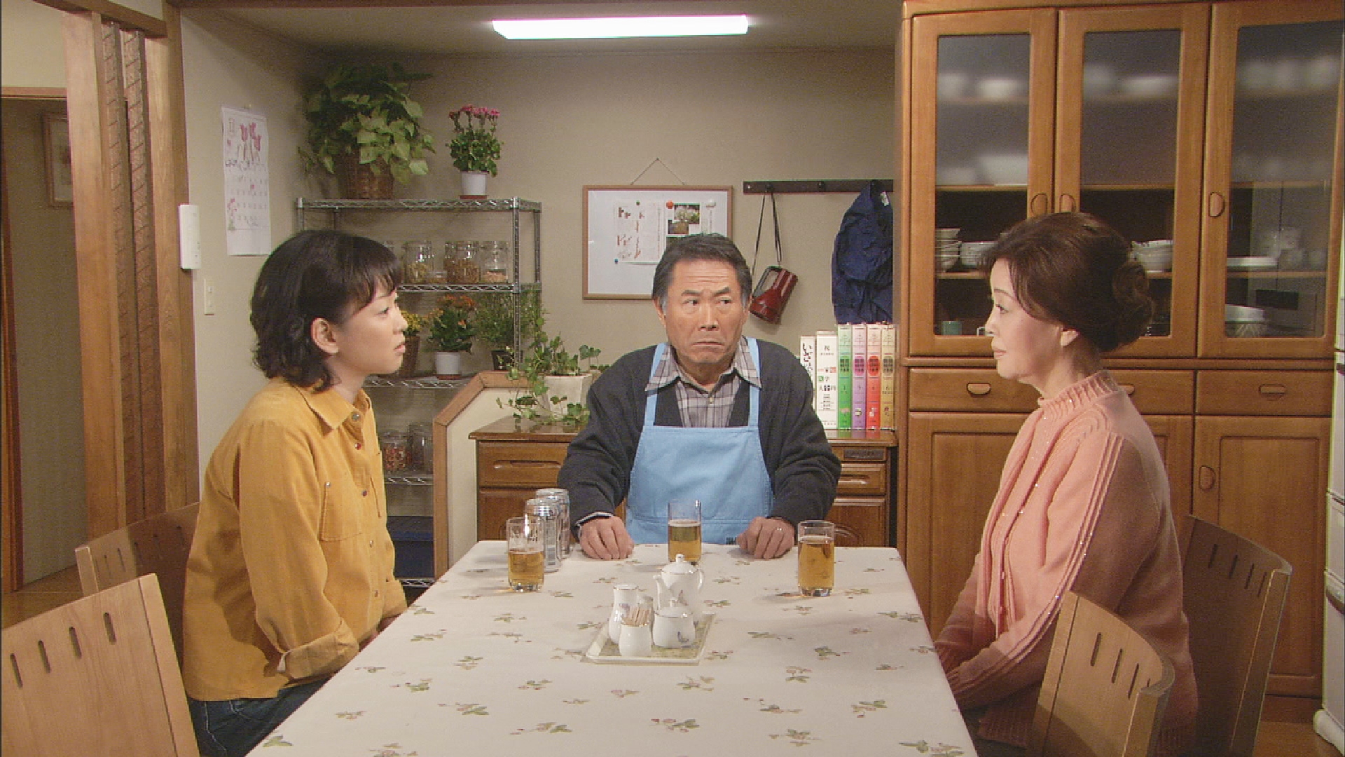 無料テレビで渡る世間は鬼ばかり 第8シリーズ(橋田壽賀子ドラマ)を視聴する