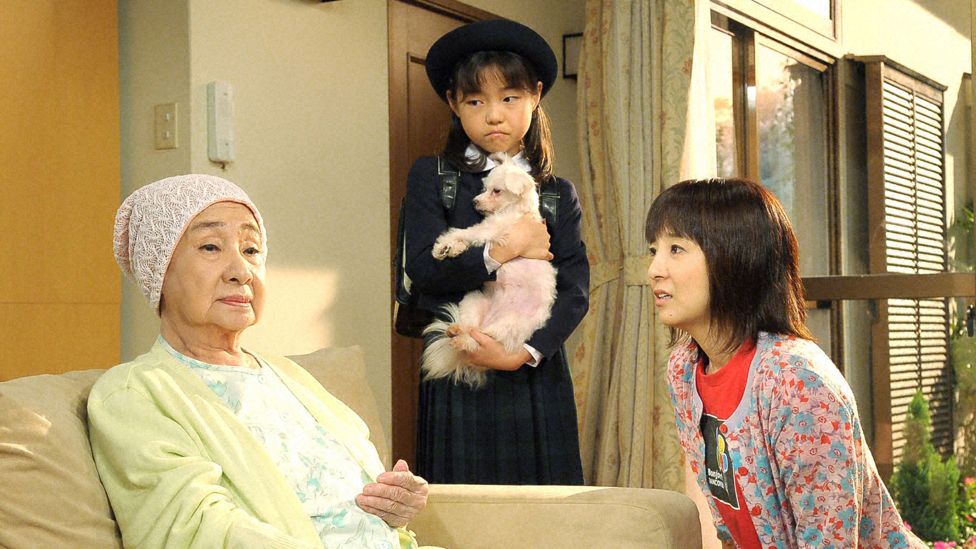 無料テレビで渡る世間は鬼ばかり 第9シリーズ(橋田壽賀子ドラマ)を視聴する