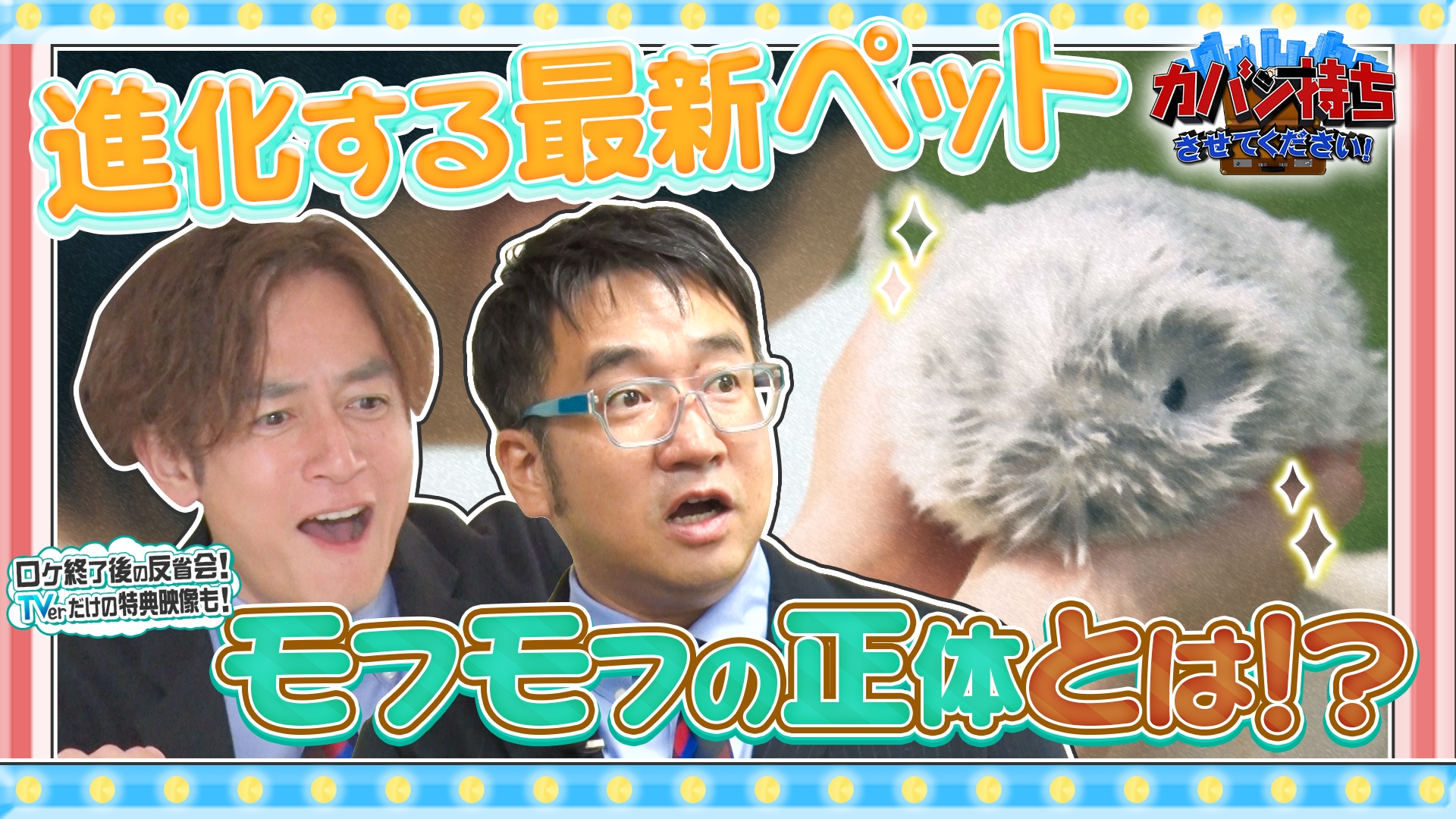 無料テレビでカバン持ちさせてください！を視聴する