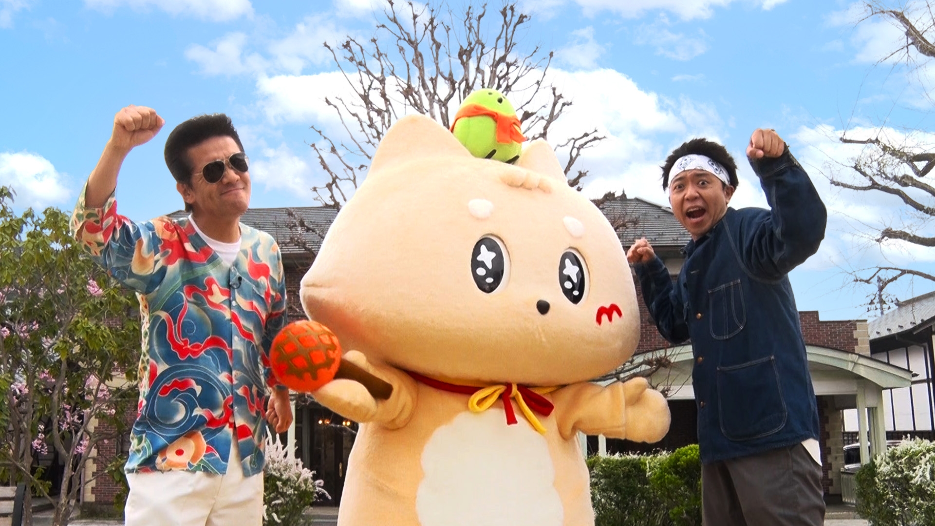 無料テレビでねこ自慢を視聴する