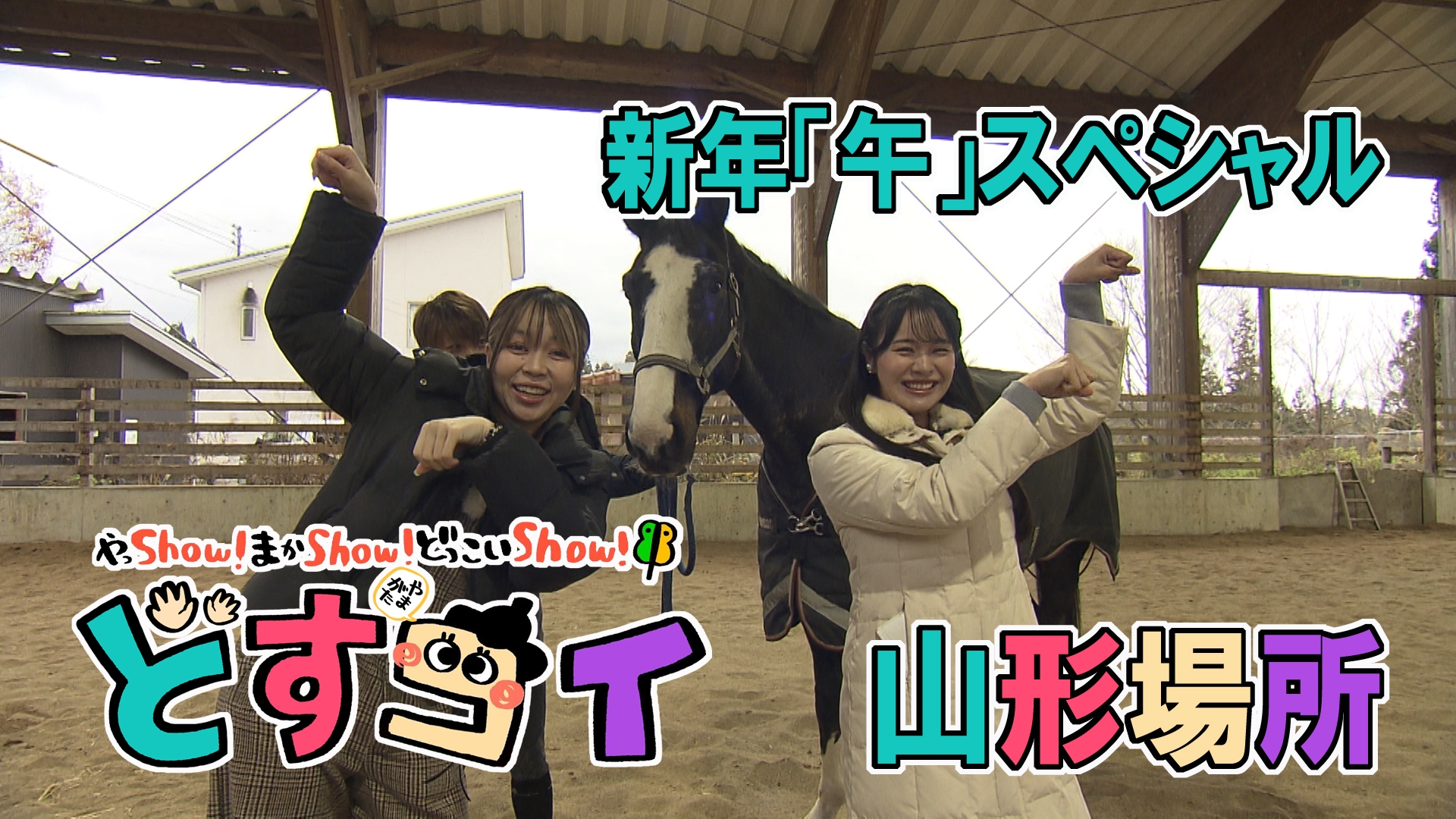 無料テレビでどすコイ やまがたを視聴する