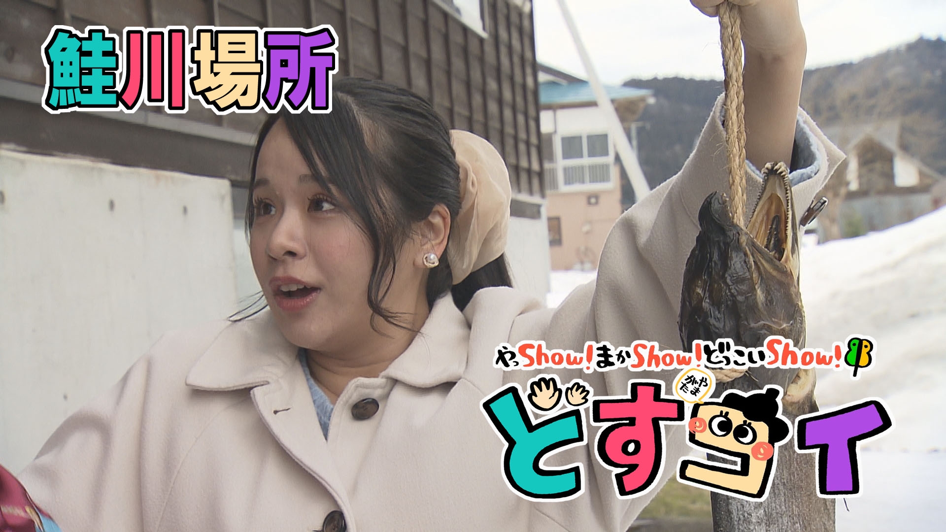 無料テレビでどすコイ やまがたを視聴する