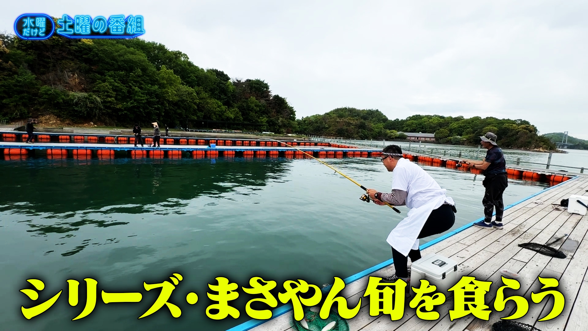 水曜だけど土曜の番組 特殊専門店をちゃんとリポートする／シリーズ