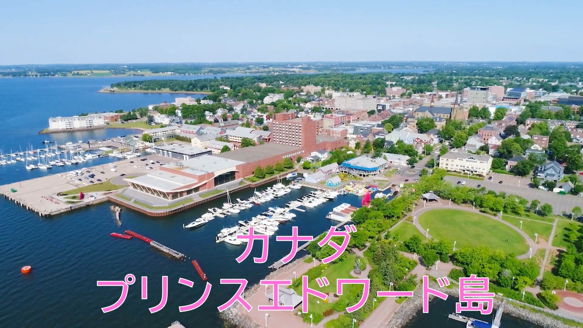 無料テレビで憧れの地に家を買おうを視聴する