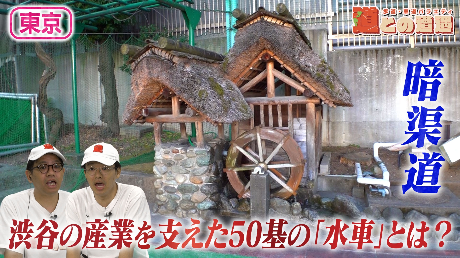 無料テレビで道との遭遇を視聴する