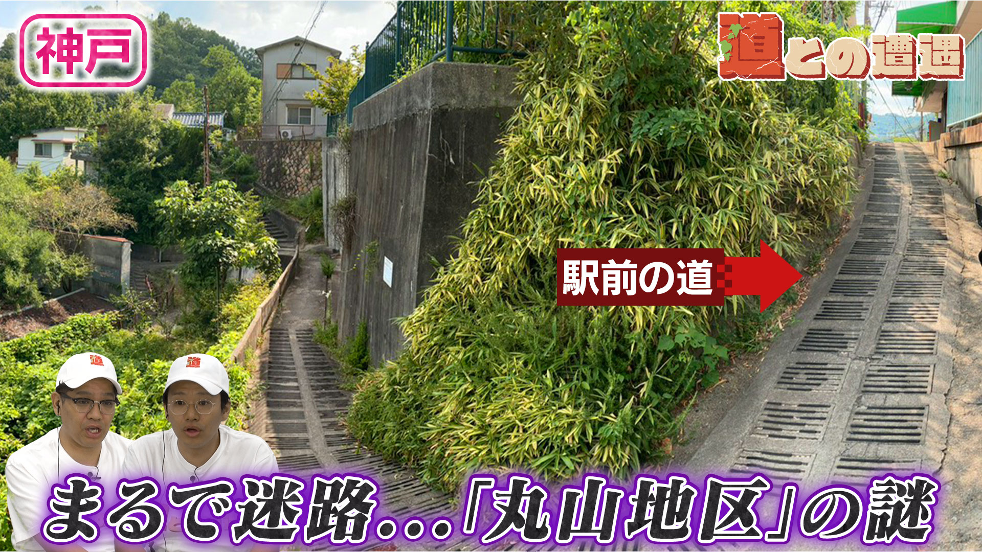 無料テレビで道との遭遇を視聴する