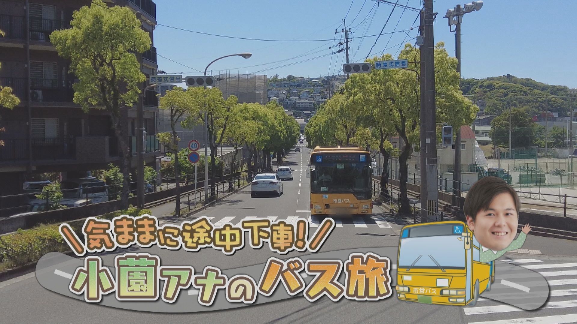 無料テレビでどーんと鹿児島を視聴する