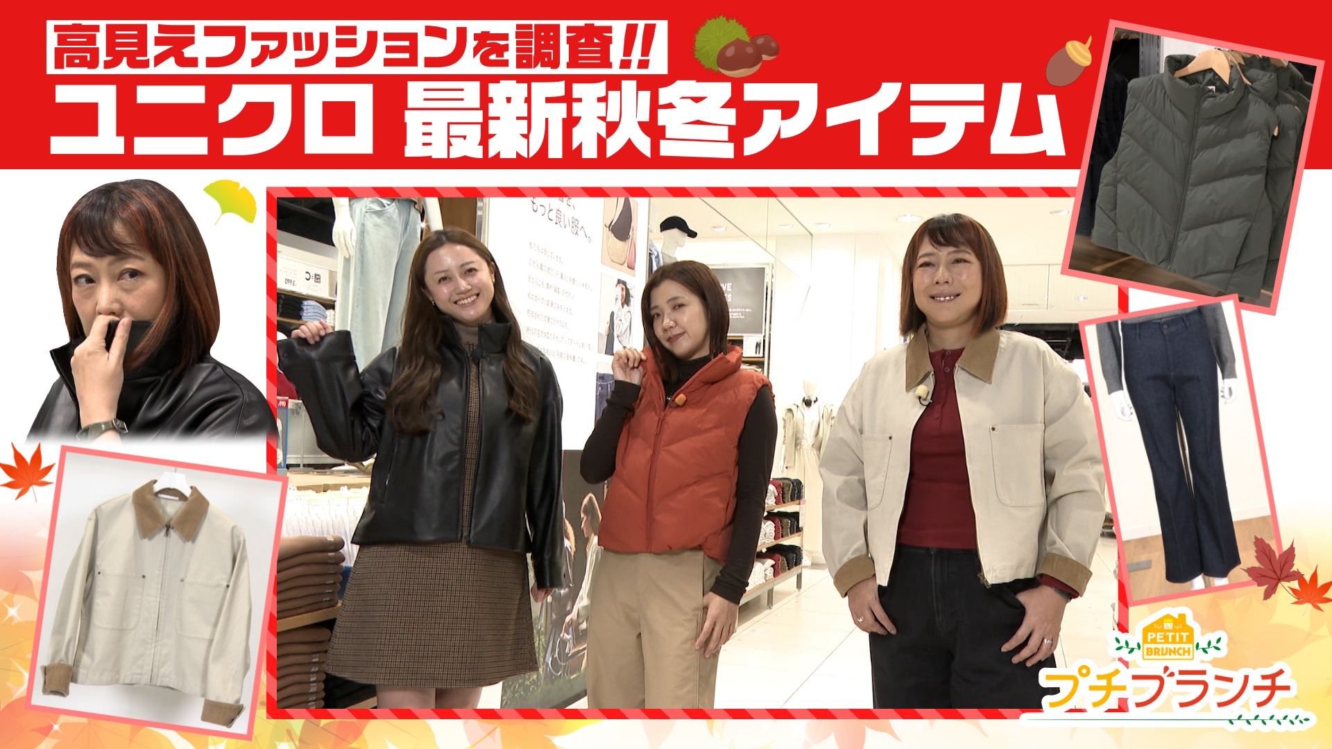無料テレビでプチブランチを視聴する