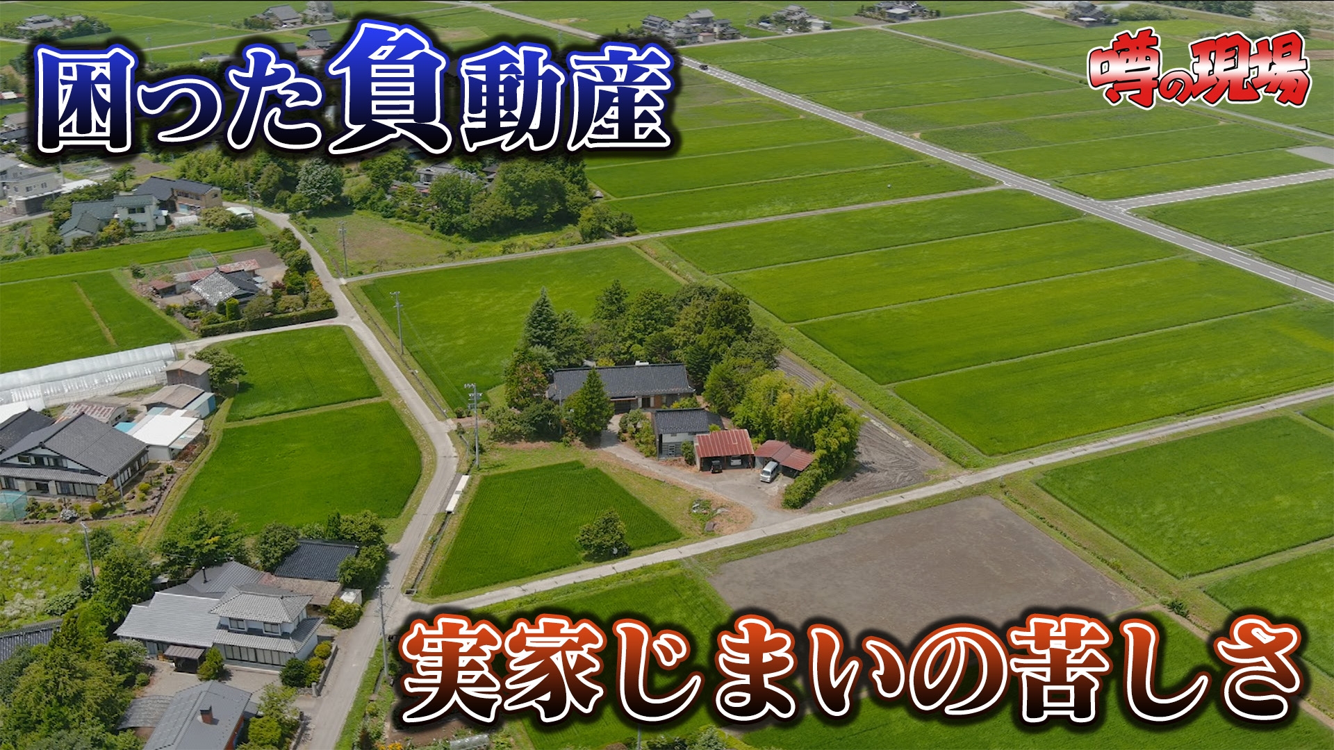 無料テレビで噂の！東京マガジンを視聴する