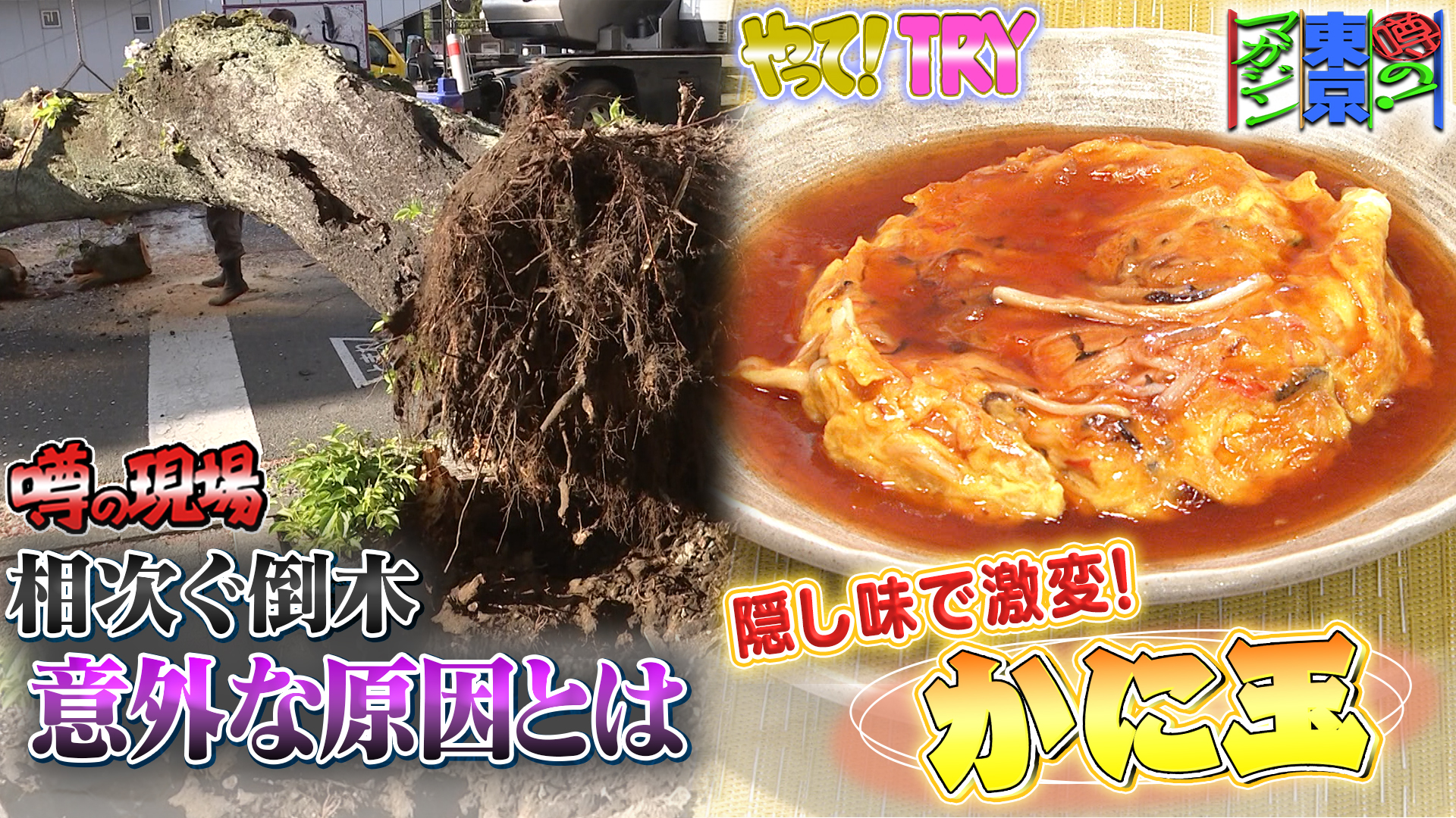 無料テレビで噂の！東京マガジンを視聴する