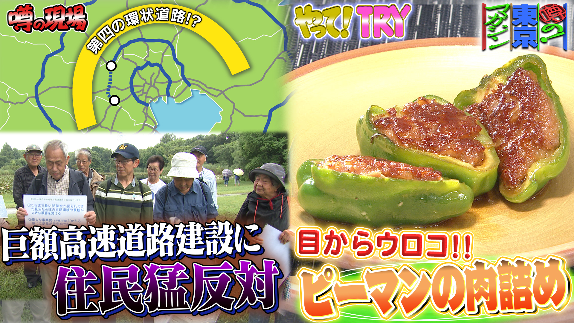 無料テレビで噂の！東京マガジンを視聴する