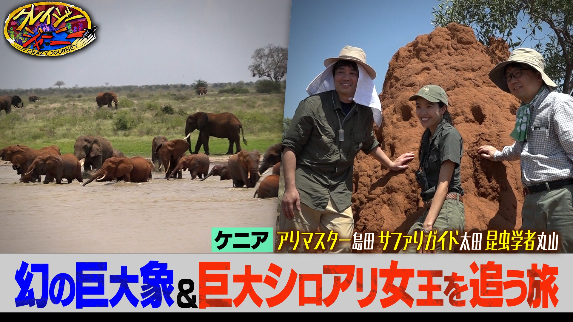 無料テレビでクレイジージャーニーを視聴する