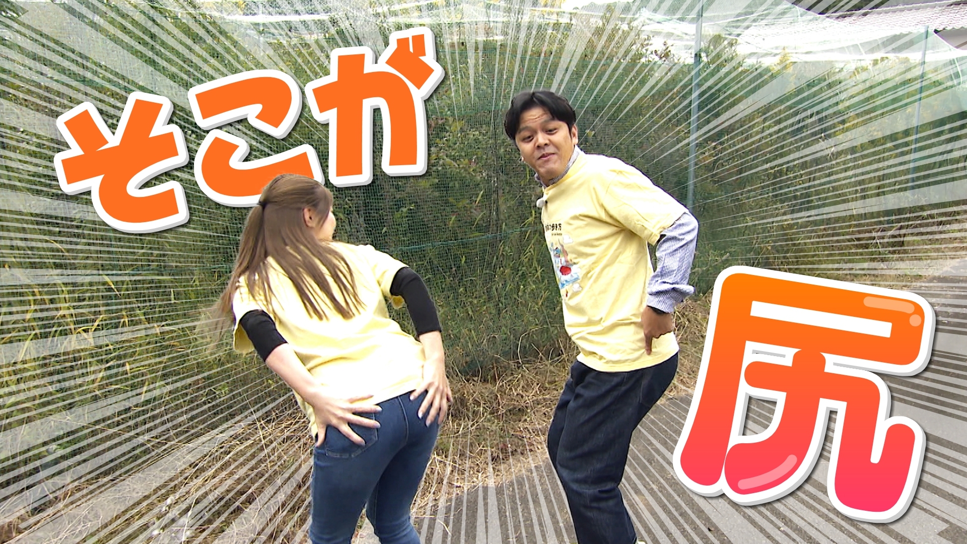 無料テレビでヨエロスンを視聴する