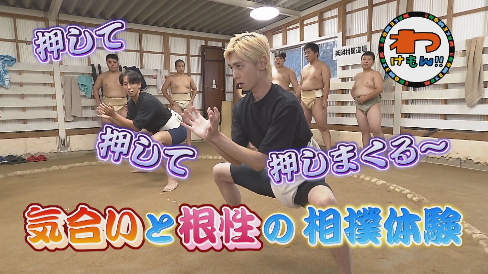 無料テレビでわけもん！！を視聴する