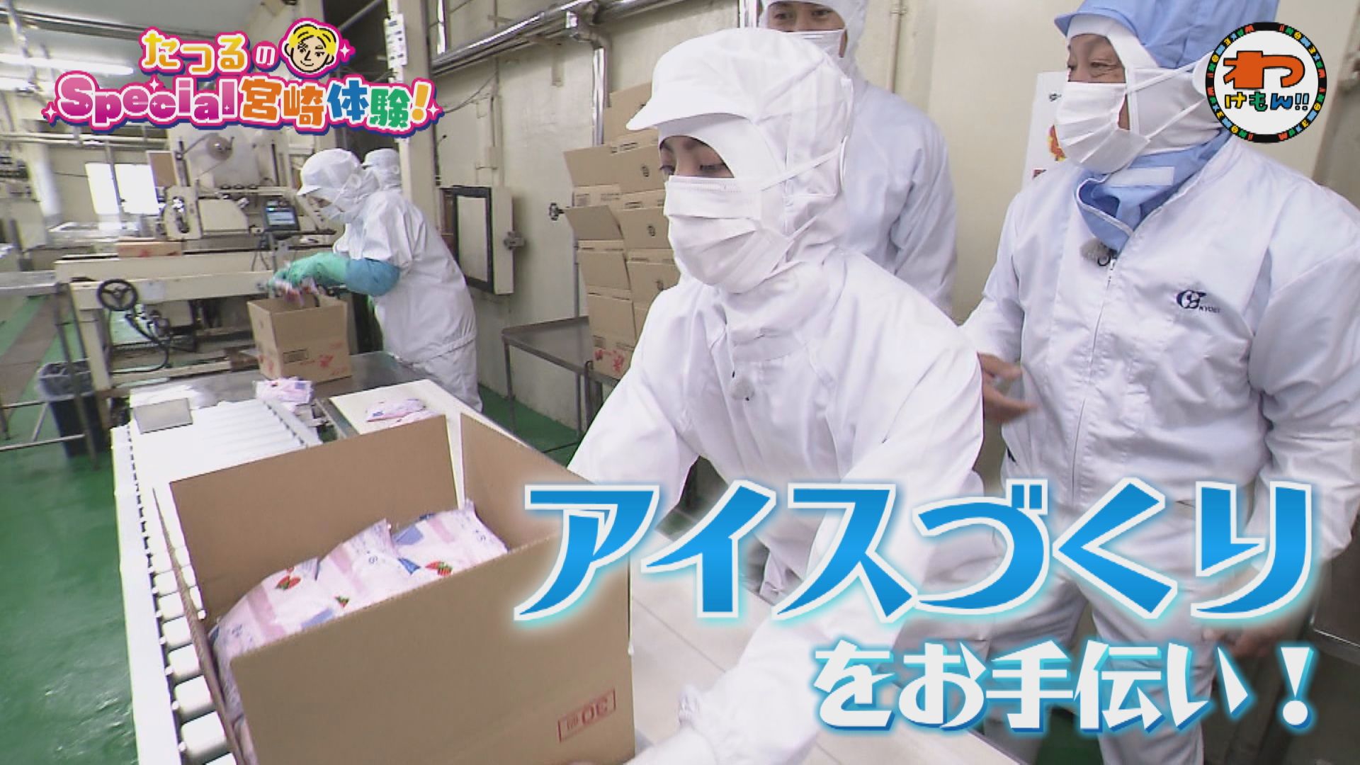 無料テレビでわけもん！！を視聴する