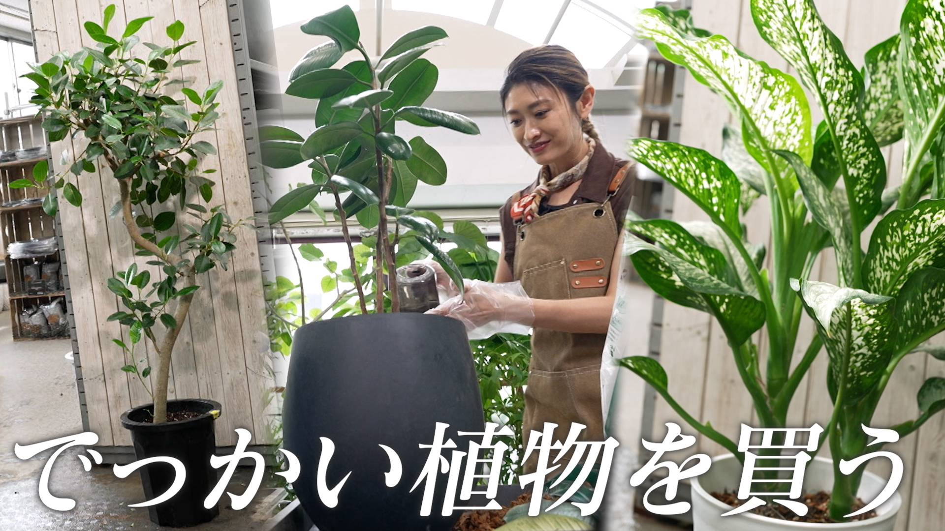 無料テレビでララLIFEを視聴する