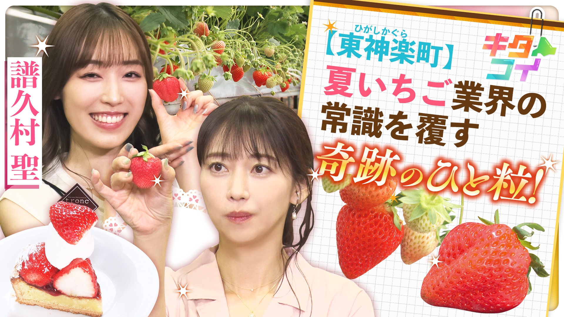 無料テレビでキタコイを視聴する