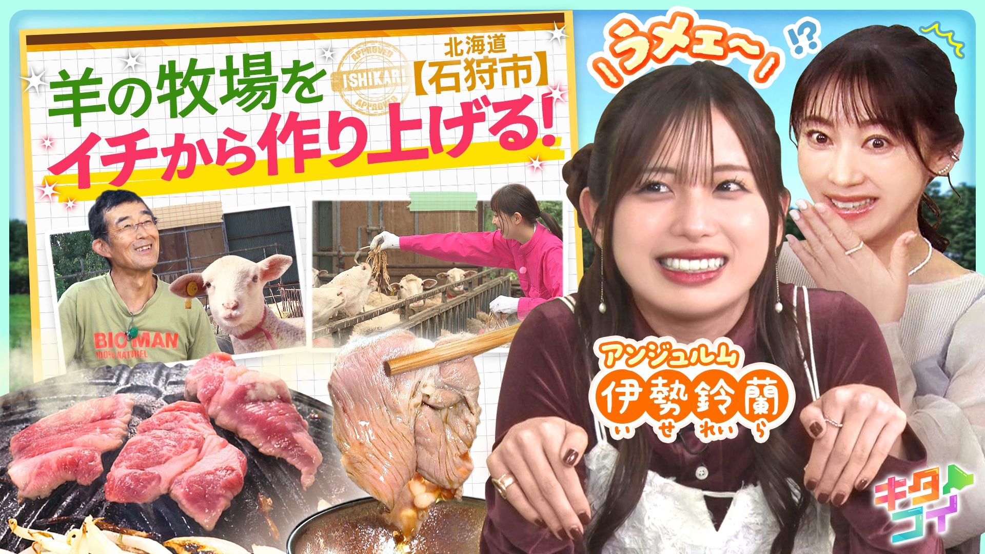 無料テレビでキタコイを視聴する