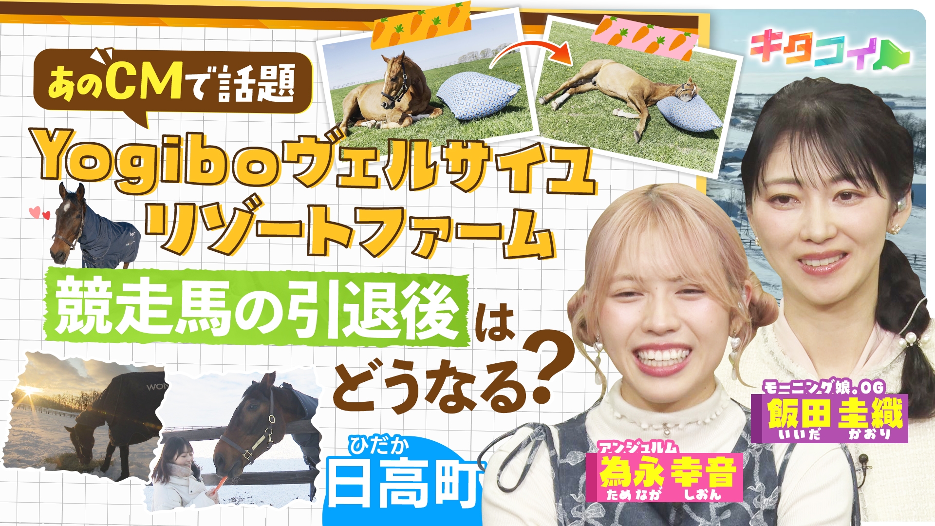 無料テレビでキタコイを視聴する