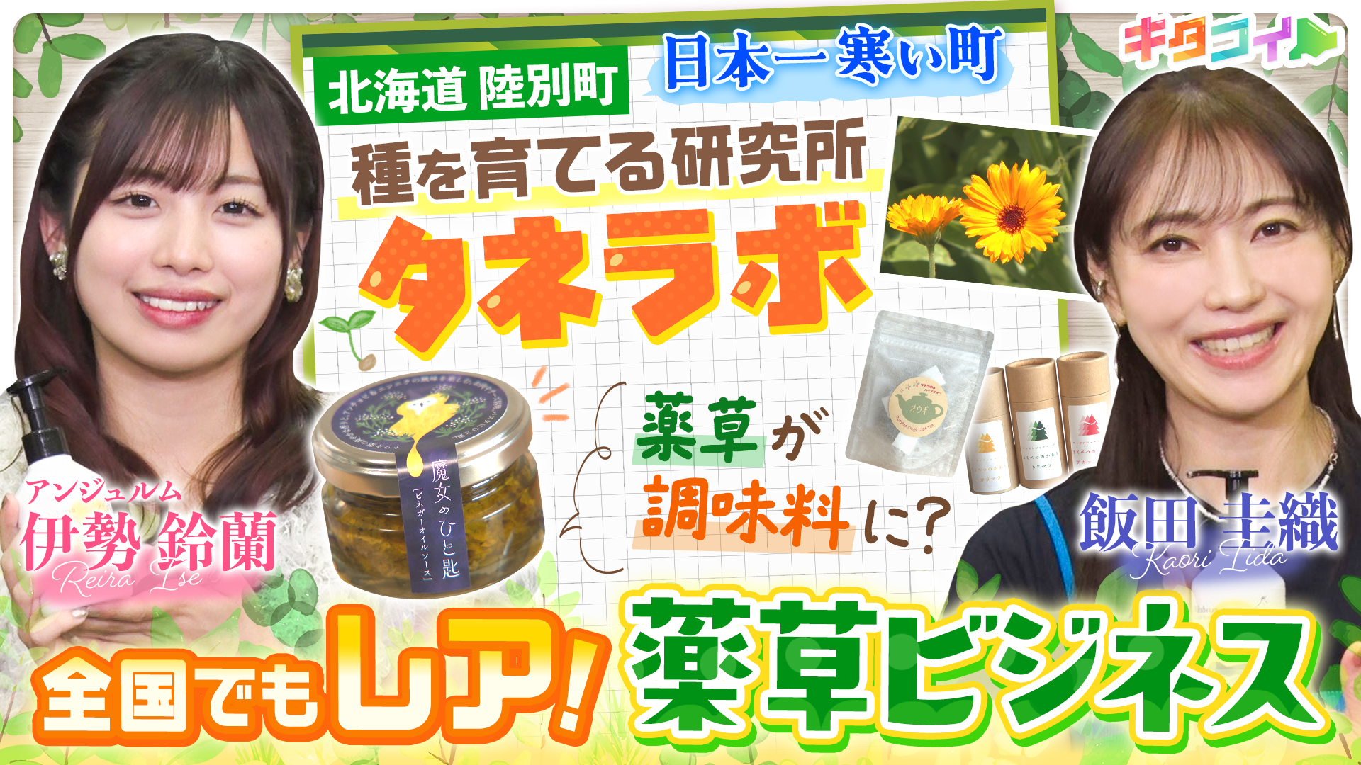無料テレビでキタコイを視聴する