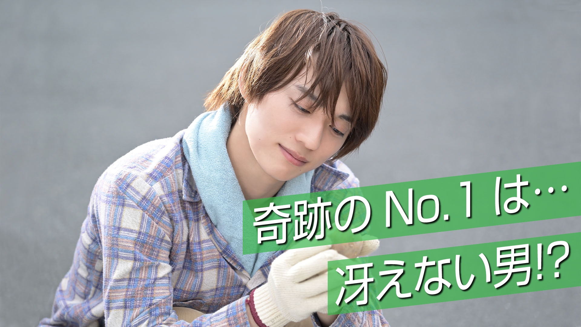 無料テレビで埼玉のホストを視聴する