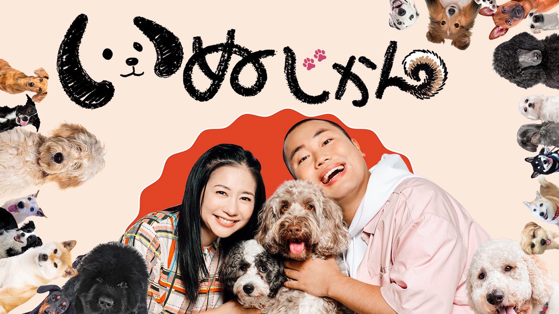 いぬじかん | 無料見逃し配信中！＜TBS FREE＞