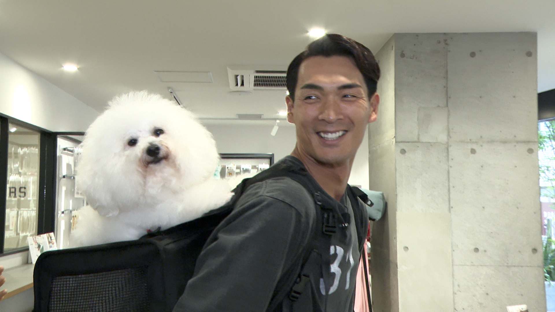 無料テレビでいぬじかんを視聴する