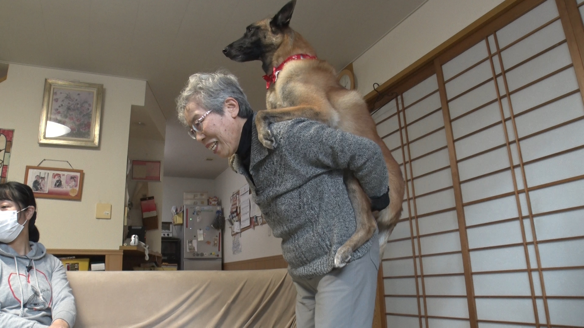 無料テレビでいぬじかんを視聴する