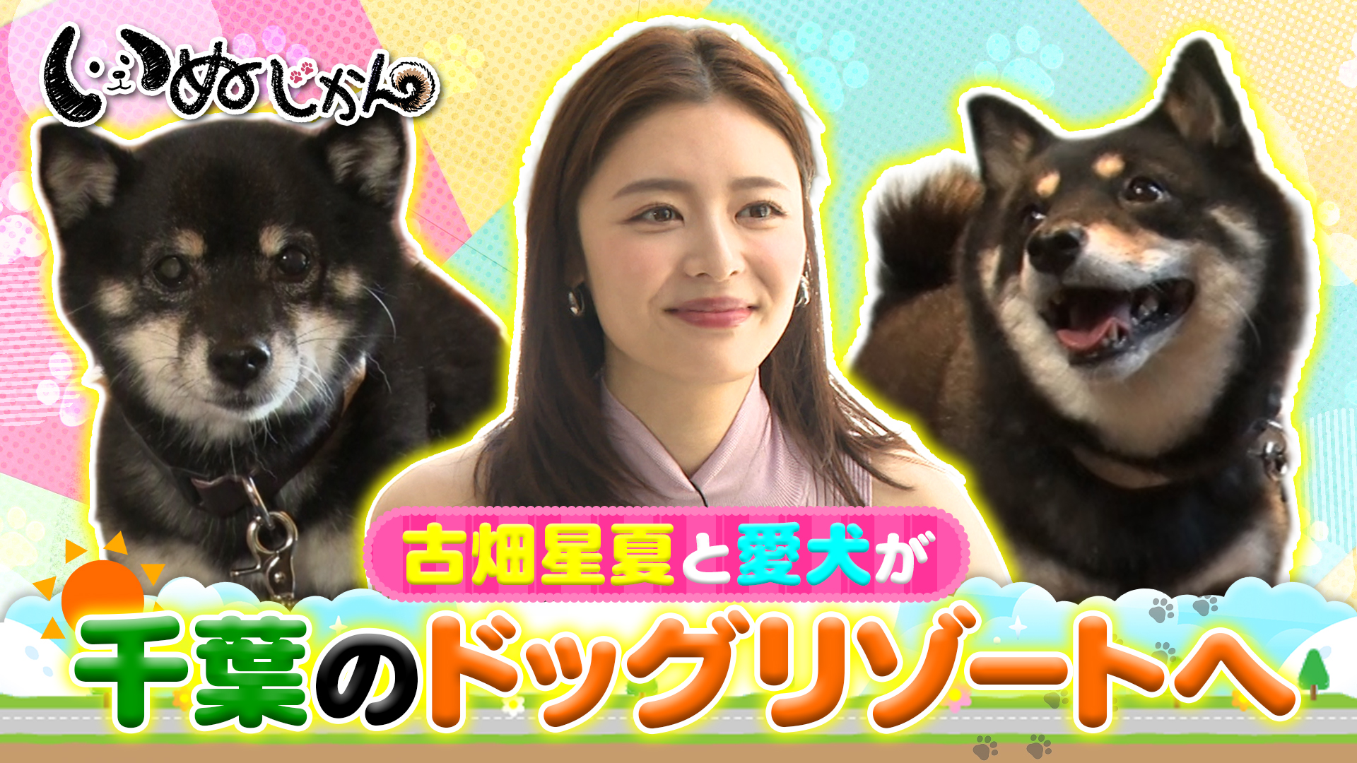 無料テレビでいぬじかんを視聴する