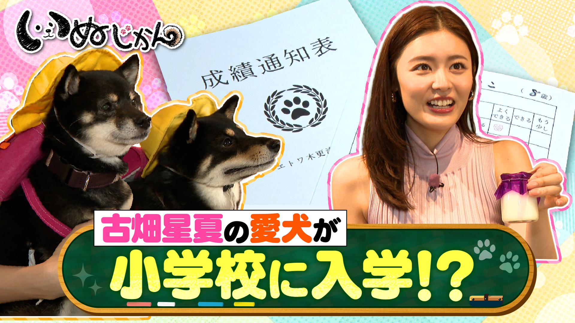 無料テレビでいぬじかんを視聴する