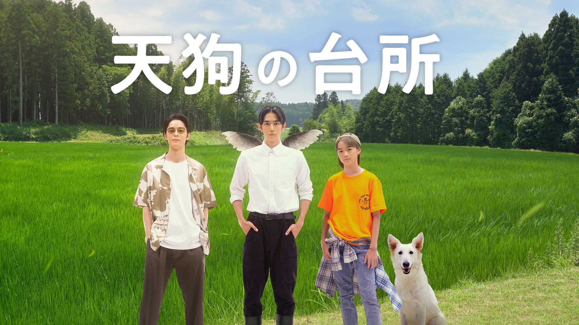 無料テレビで天狗の台所を視聴する