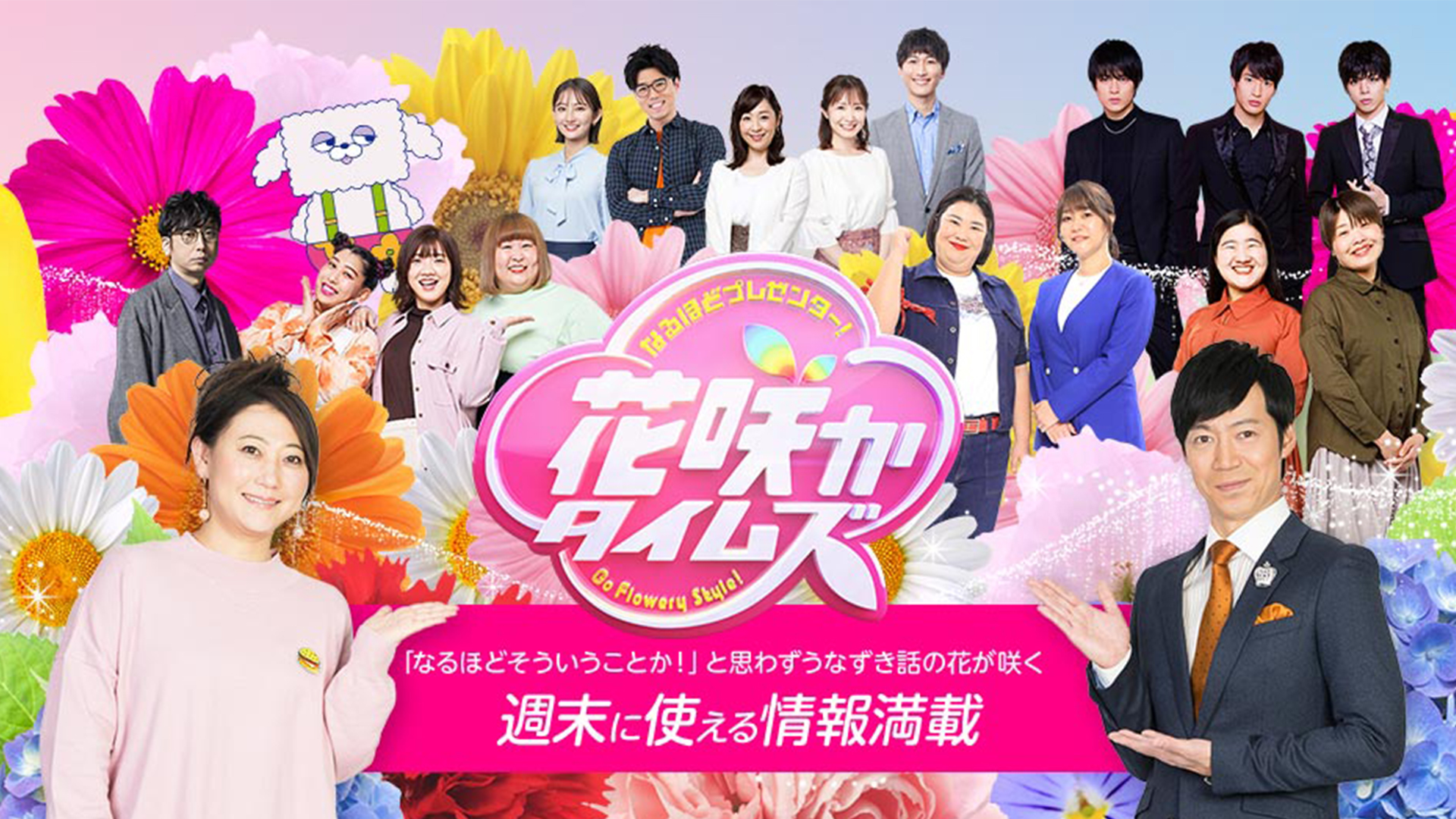 活動歴および当時の関連ビジュアル記録