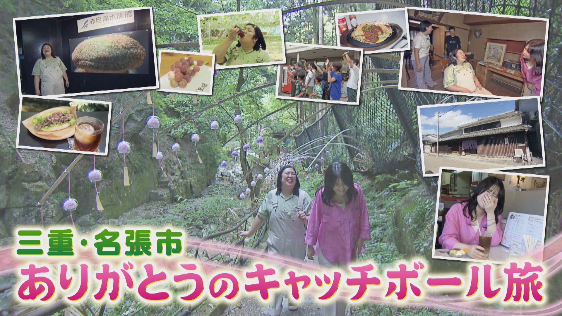 無料テレビでなるほどプレゼンター！花咲かタイムズを視聴する