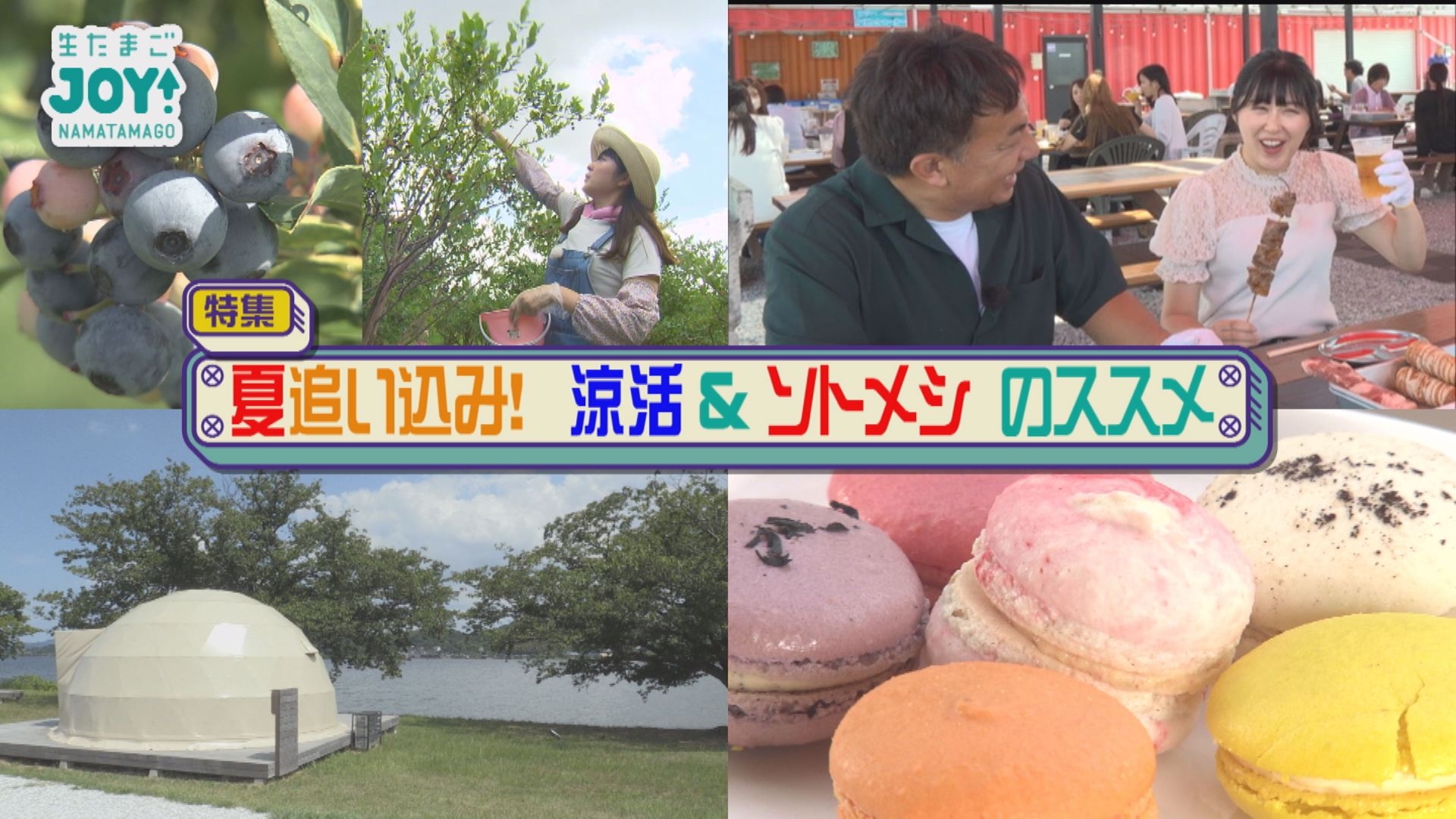 無料テレビで生たまごJOY！を視聴する