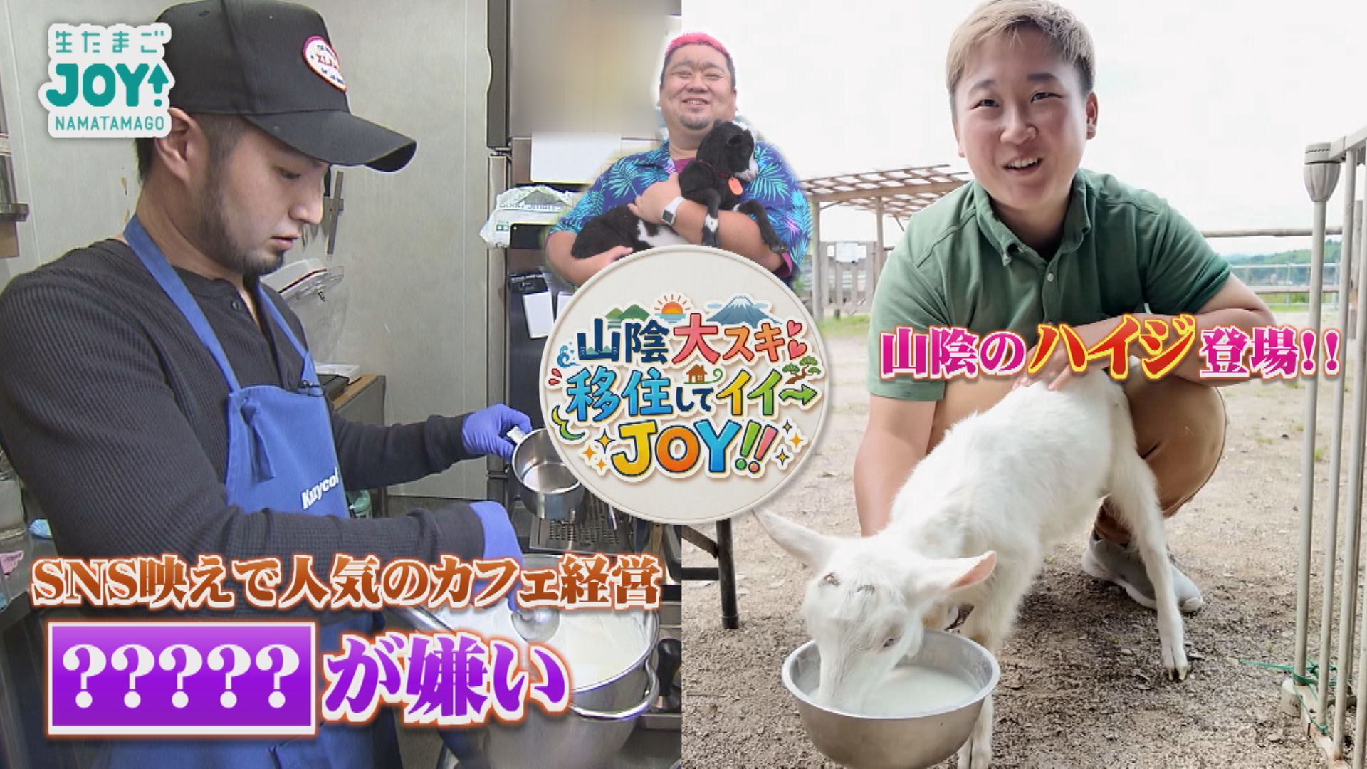 無料テレビで生たまごJOY！を視聴する