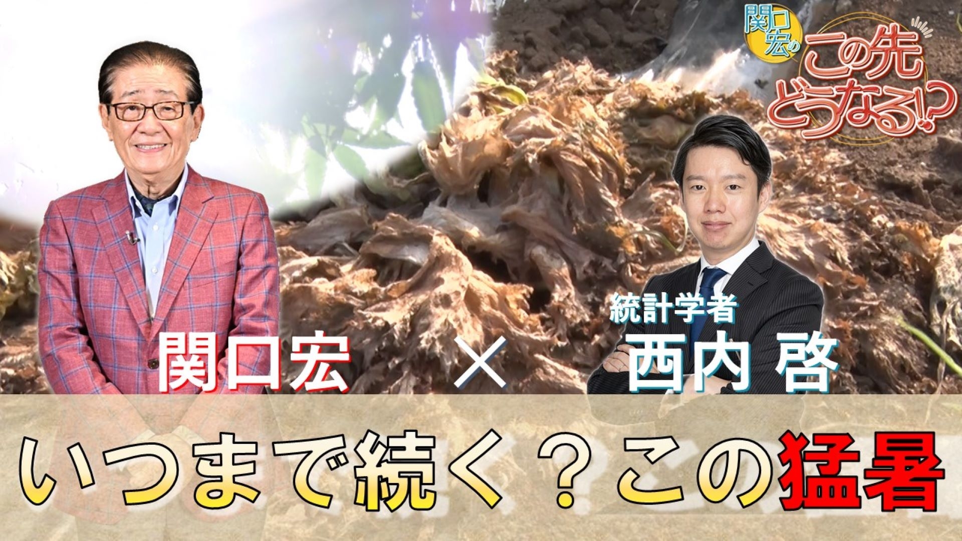 無料テレビで関口宏のこの先どうなる！？を視聴する